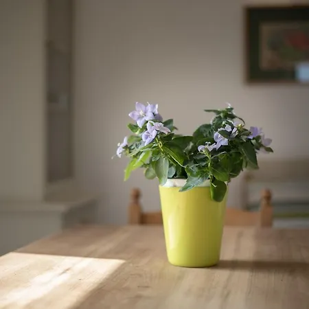 La Sosta Del Pellegrino Appartement