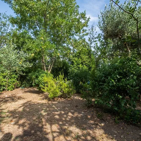 Apartmán La Sosta Del Pellegrino *